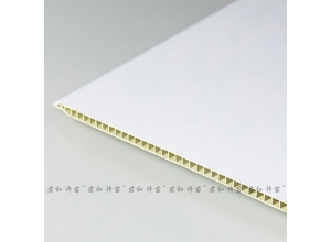B 布纹1号